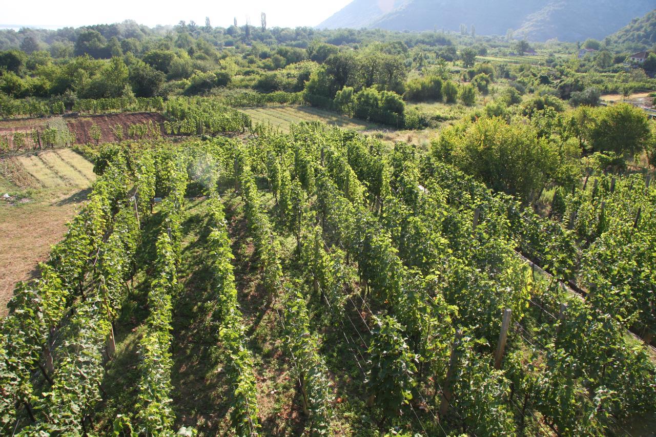 Vrzina Farm House Skadar Lake Virpazar Buitenkant foto