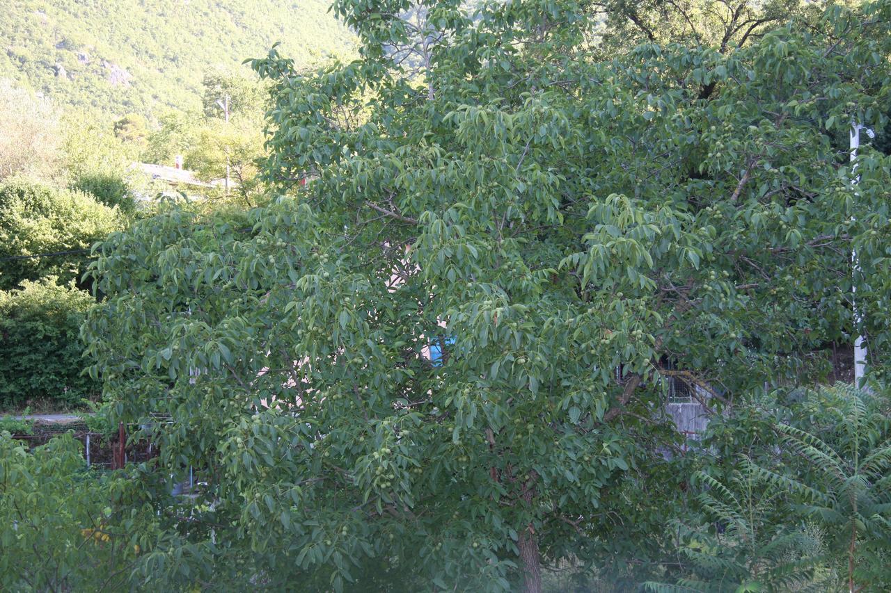 Vrzina Farm House Skadar Lake Virpazar Buitenkant foto