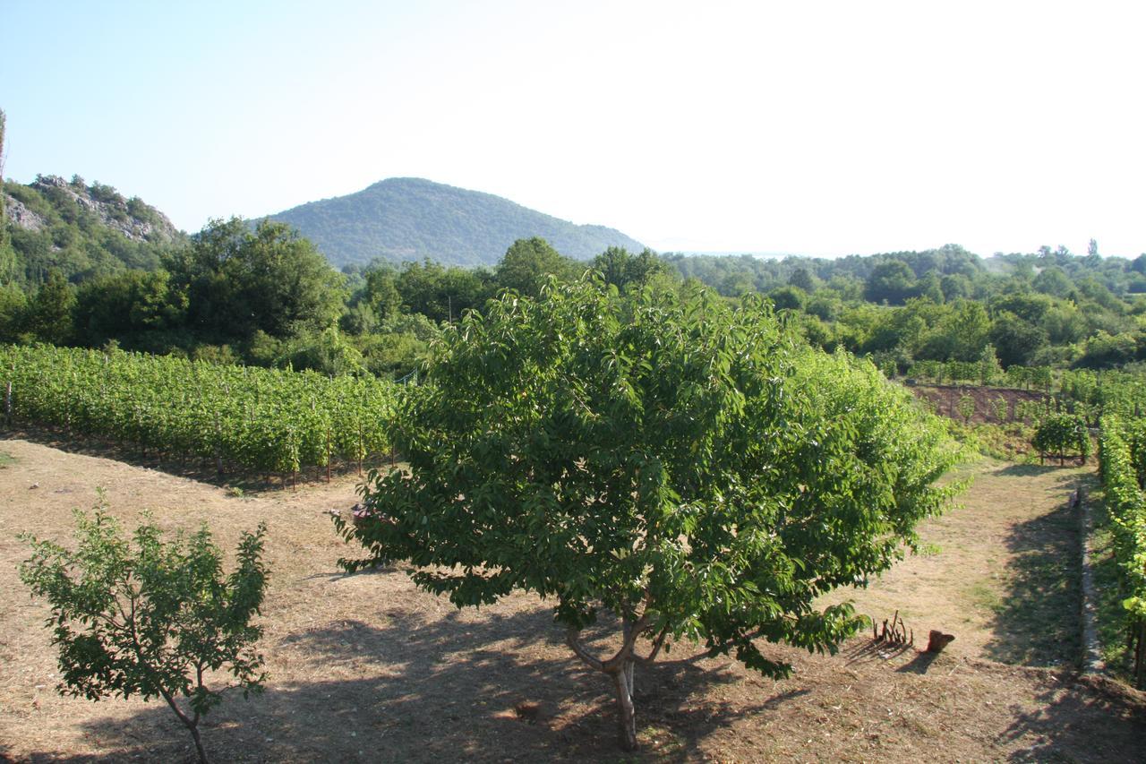 Vrzina Farm House Skadar Lake Virpazar Buitenkant foto