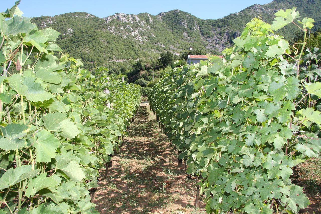 Vrzina Farm House Skadar Lake Virpazar Buitenkant foto
