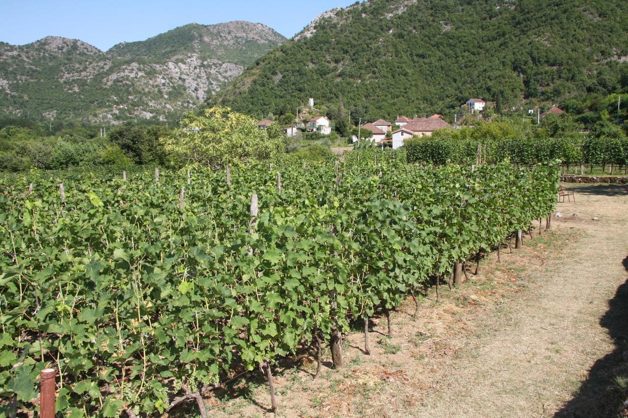Vrzina Farm House Skadar Lake Virpazar Buitenkant foto